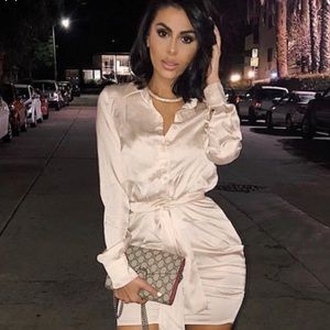 COPY - PrettyLittleThing Ruched Shirt Dress